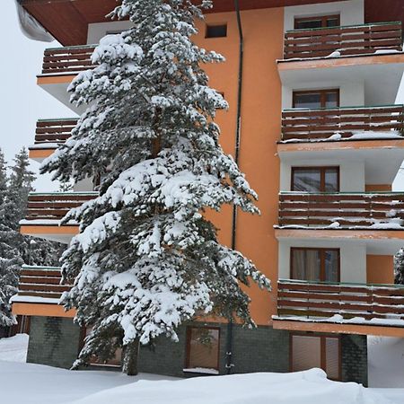 Apartman Palenica II تاترانسكا ستربا المظهر الخارجي الصورة