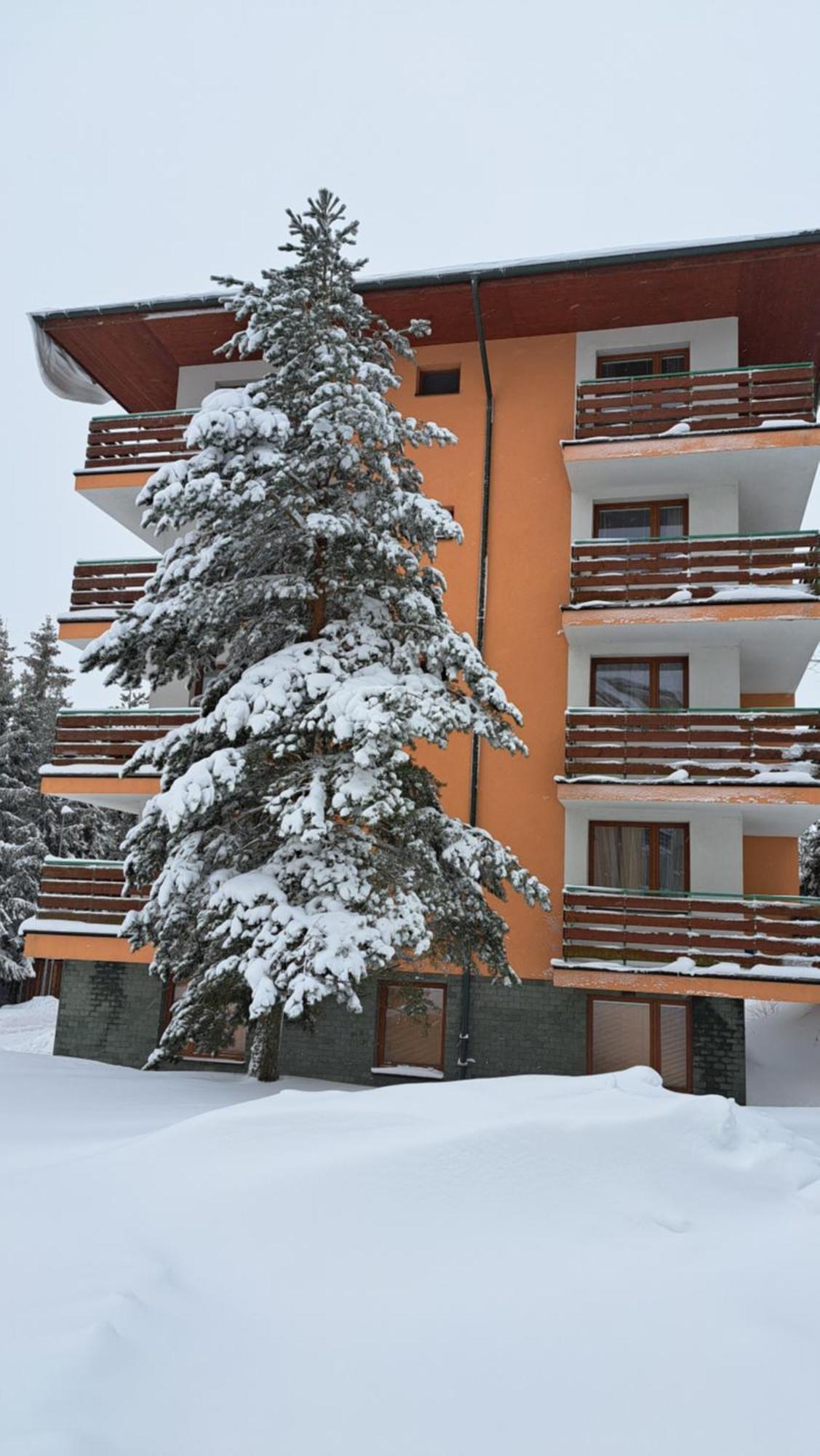 Apartman Palenica II تاترانسكا ستربا المظهر الخارجي الصورة